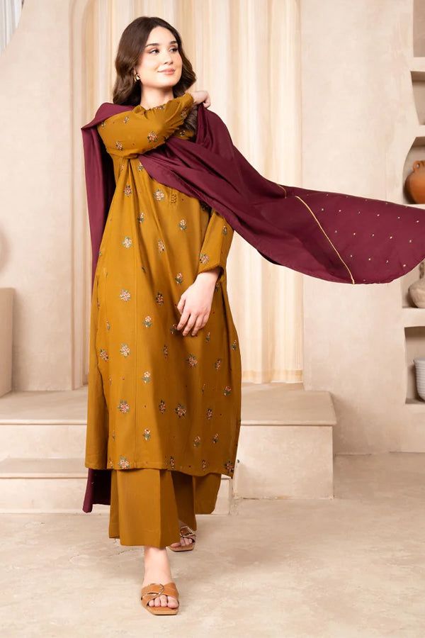 Winter collection Dhnak 3pc EMB