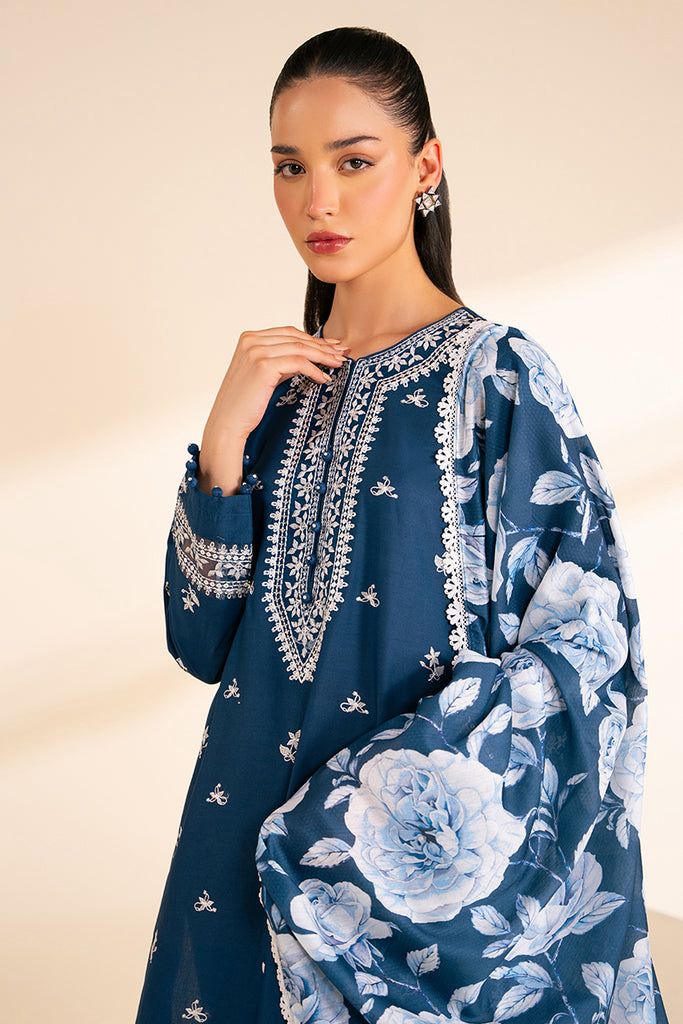 Winter collection Dhnak 3pc EMB