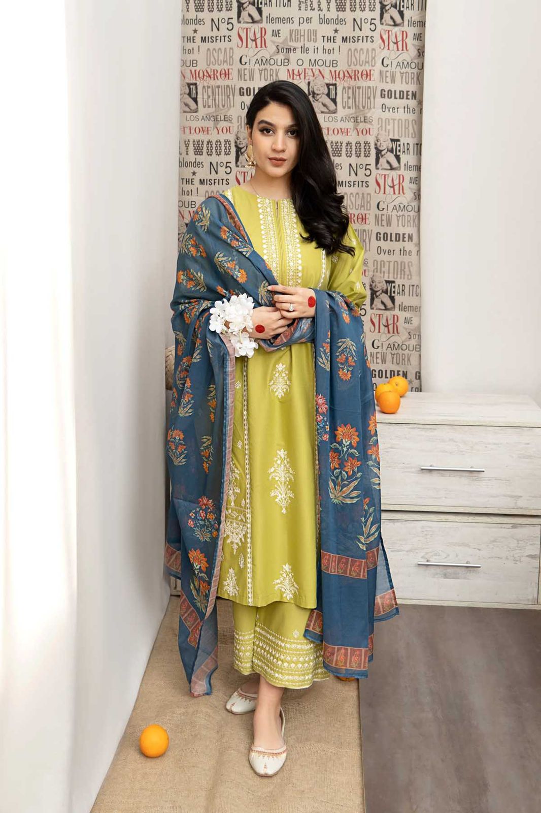 Winter collection Dhnak 3pc EMB