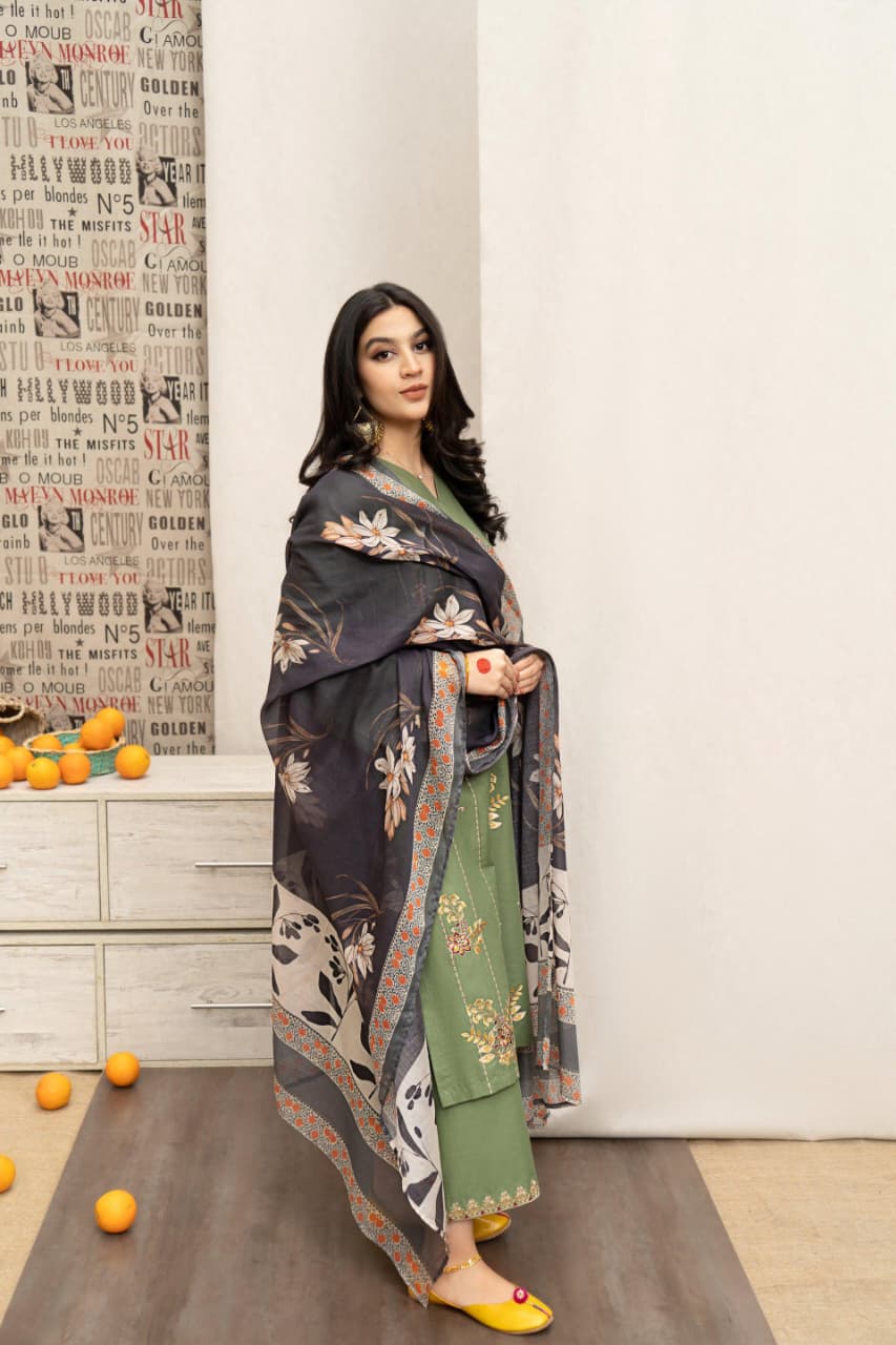 Winter collection Dhnak 3pc EMB