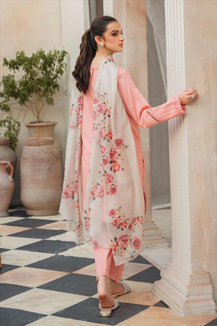 Winter collection Dhnak 3pc EMB