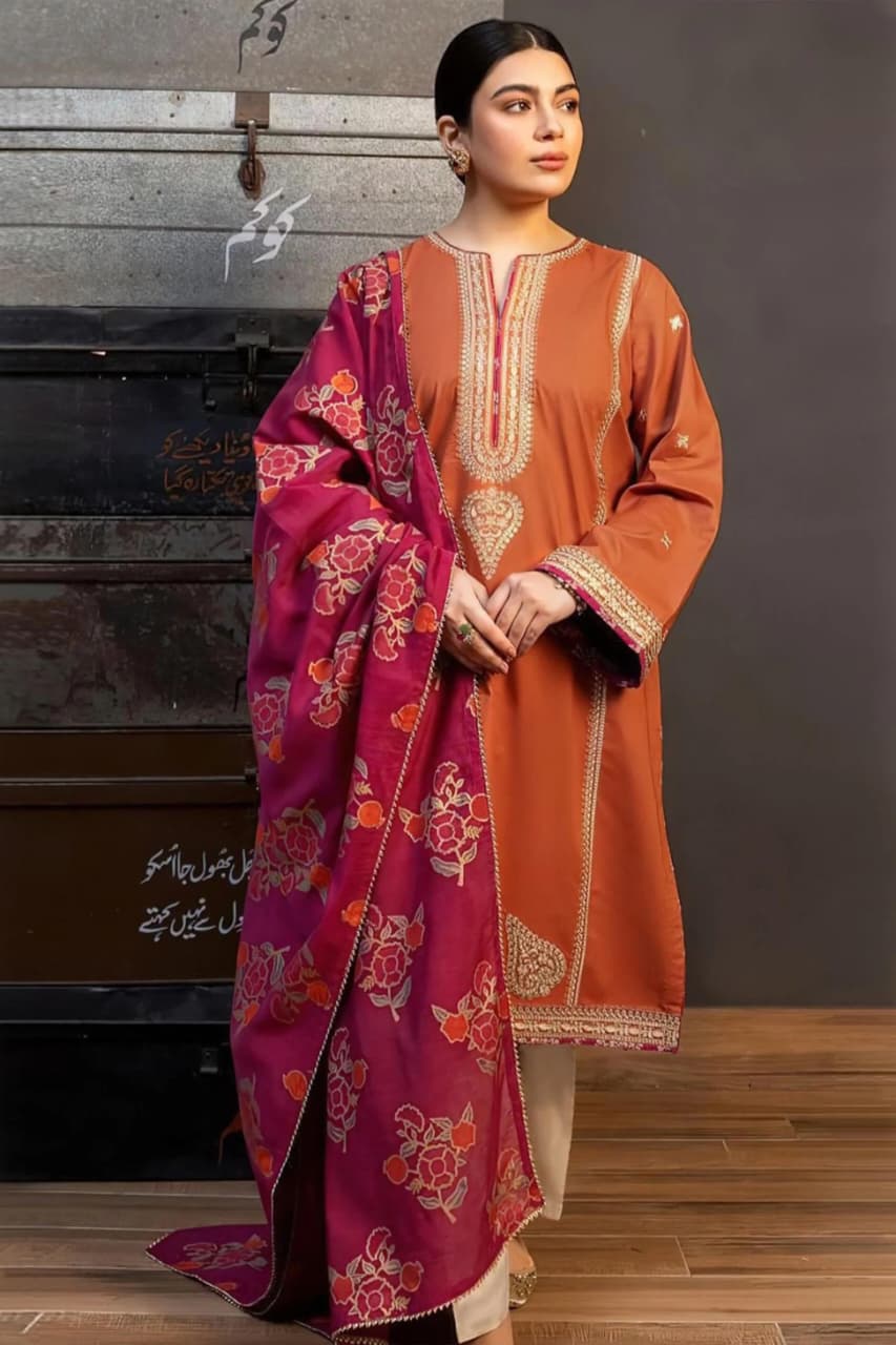Winter collection Dhnak 3pc EMB