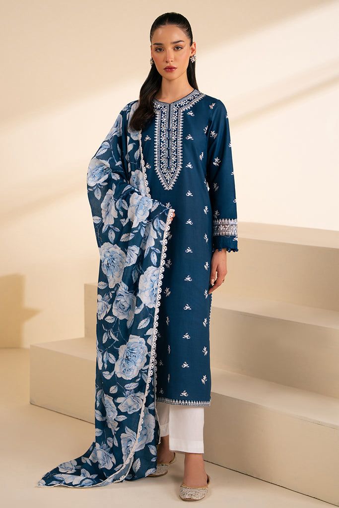 Winter collection Dhnak 3pc EMB