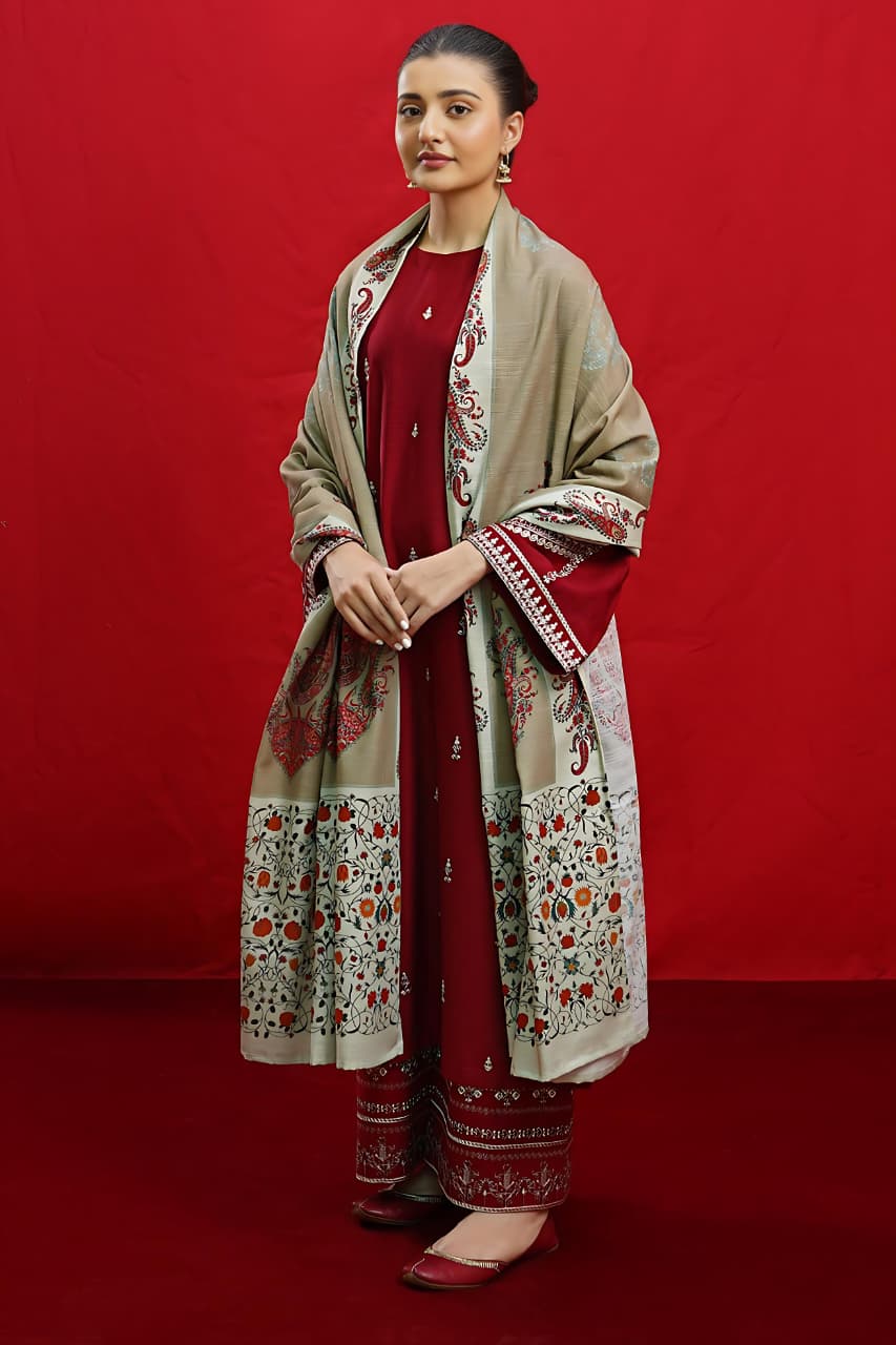 Winter collection Dhnak 3pc EMB
