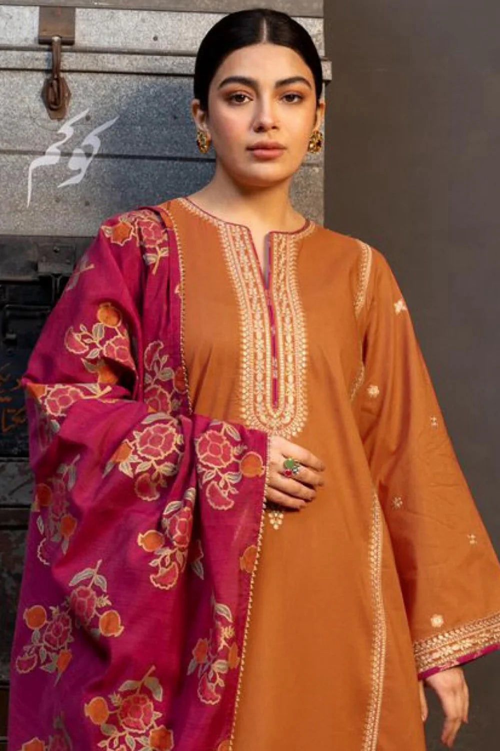 Winter collection Dhnak 3pc EMB
