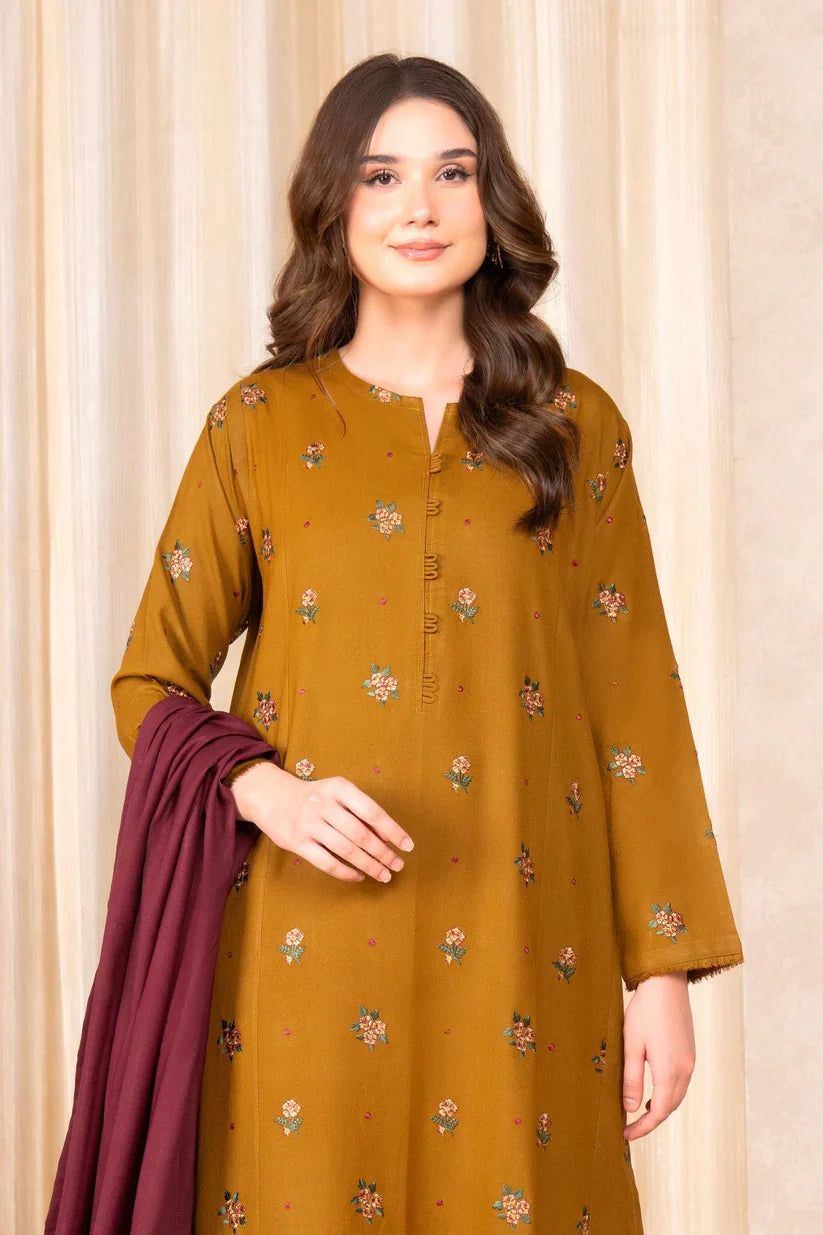 Winter collection Dhnak 3pc EMB