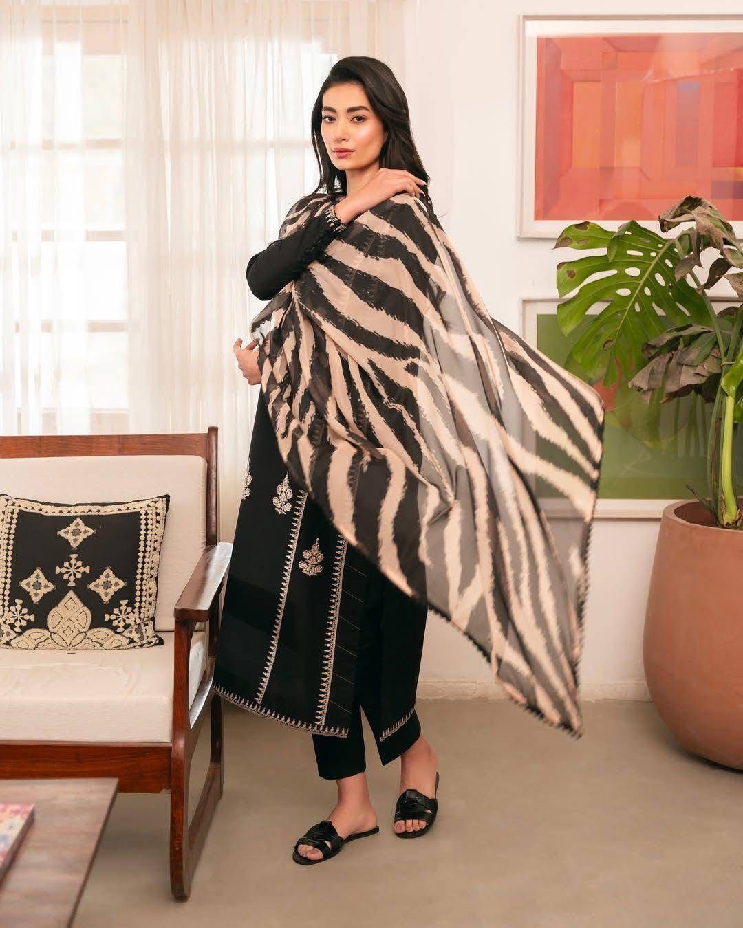 Winter collection Dhnak 3pc EMB