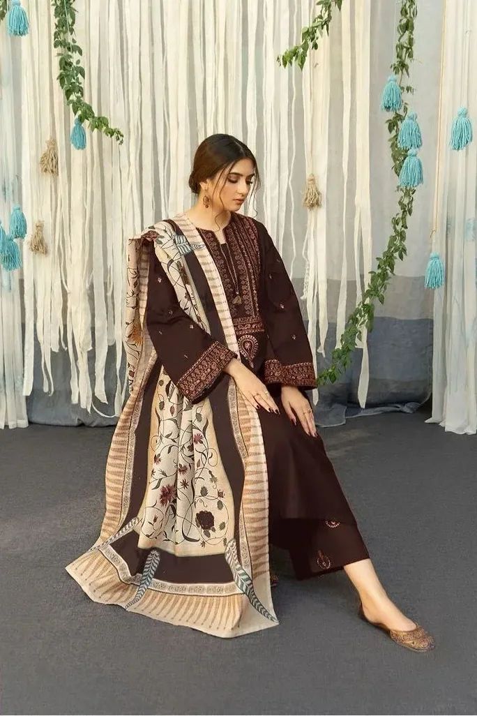 Winter collection Dhnak 3pc EMB