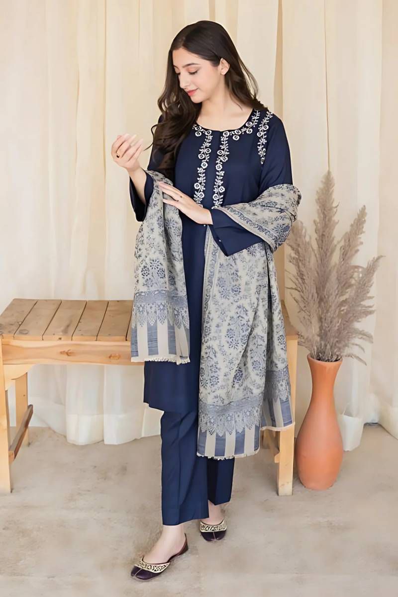Winter collection Dhnak 3pc EMB