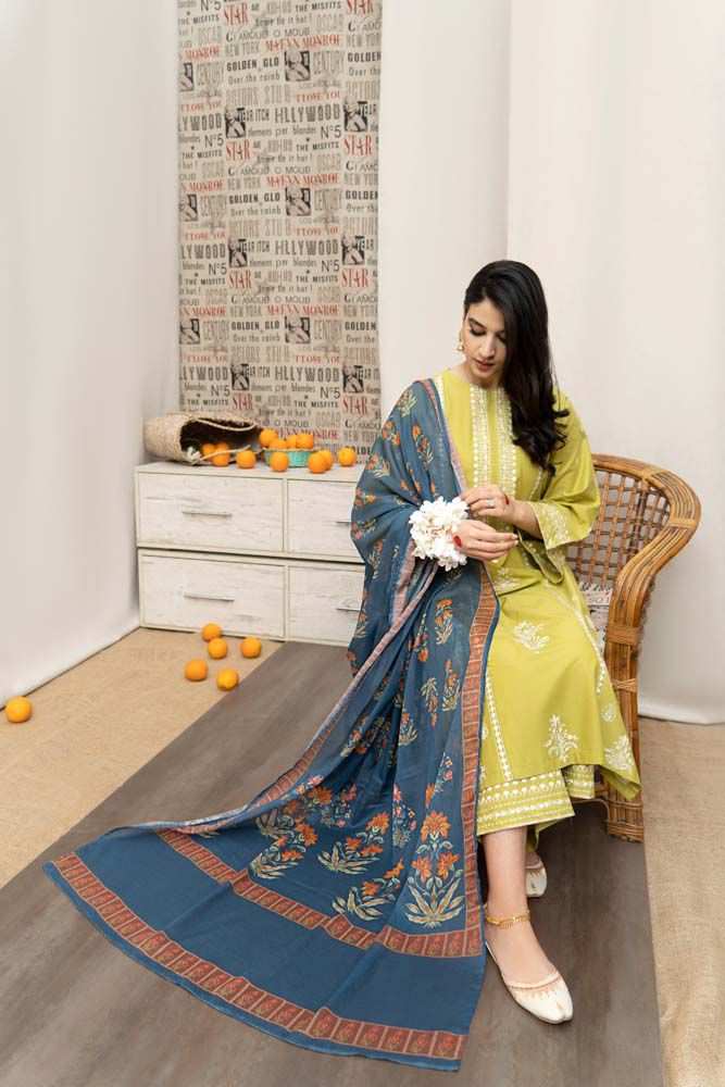 Winter collection Dhnak 3pc EMB